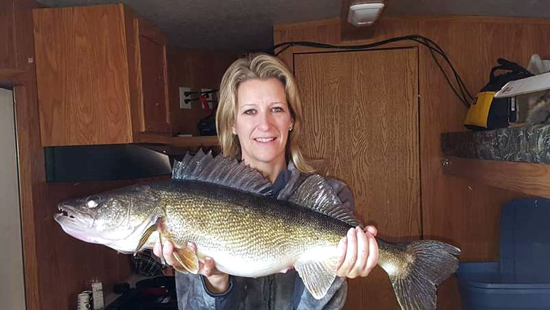 Huge Walleye Caught at Rocky Reef Resort Ice Fishing on Lake Mille Lacs